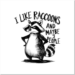 I Like Raccoons And Maybe 3 People | Sarcasm Posters and Art